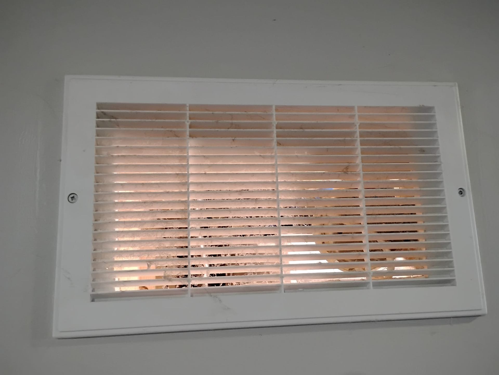 Wall Vent — Deep Cleaned