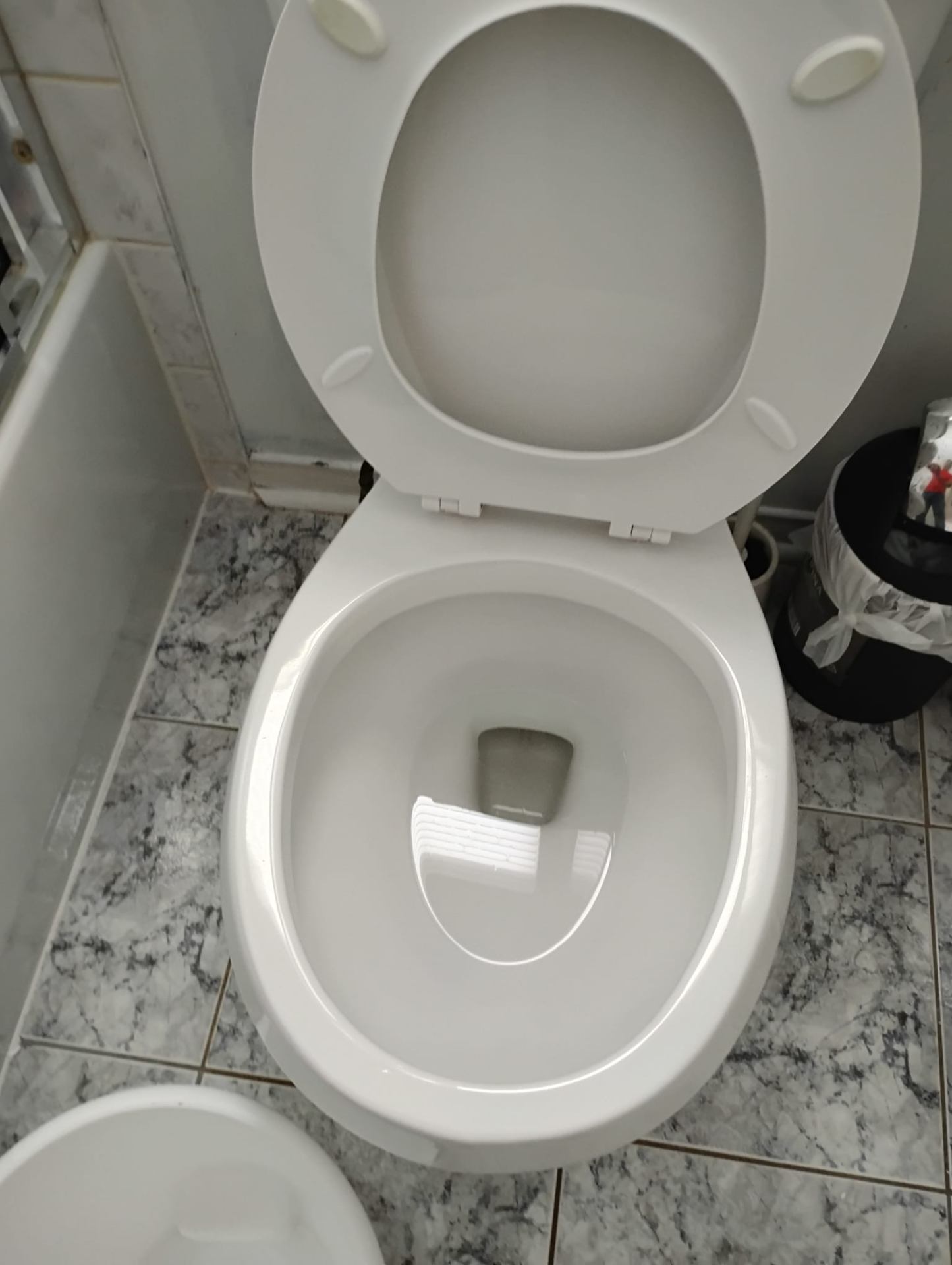 Toilet — Sanitized & Bright