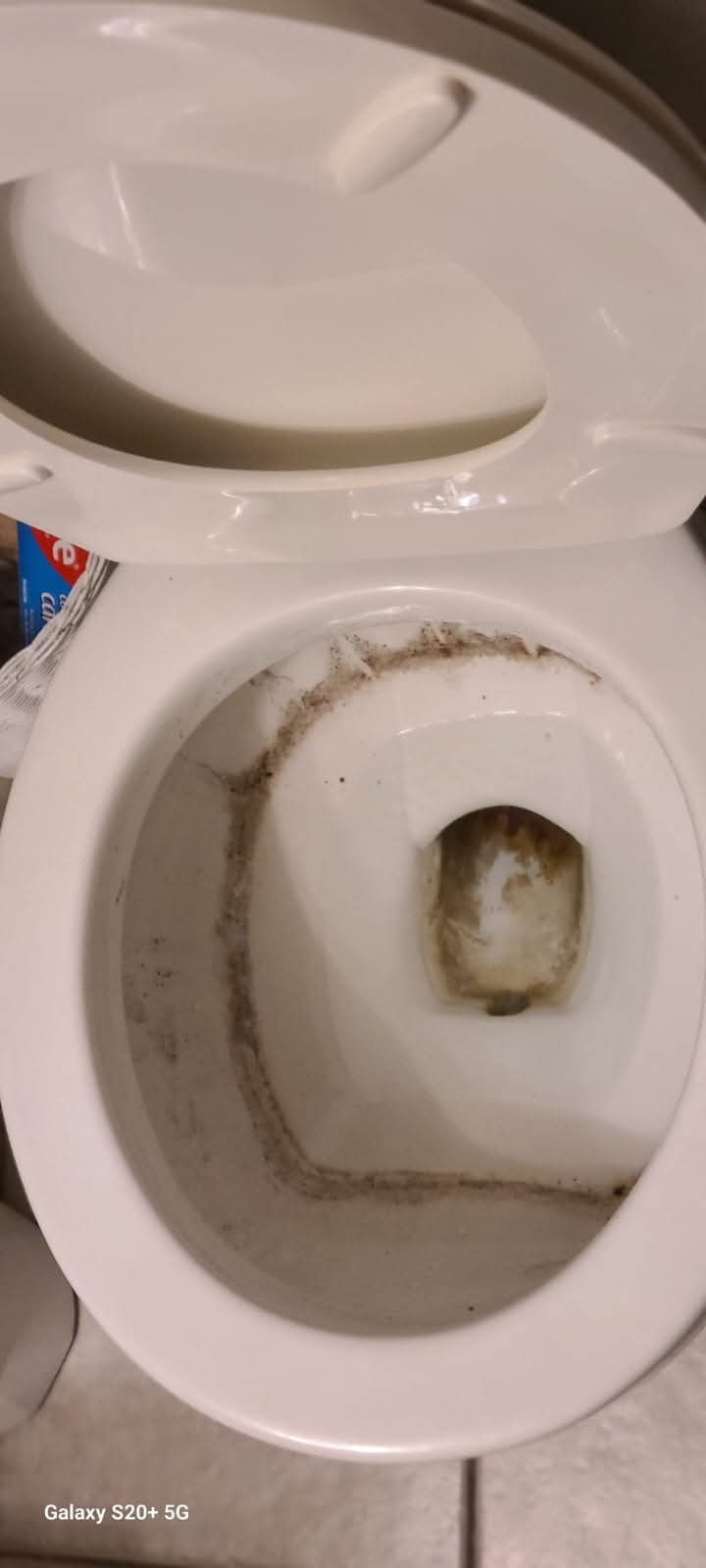 Toilet Bowl — Deep Clean