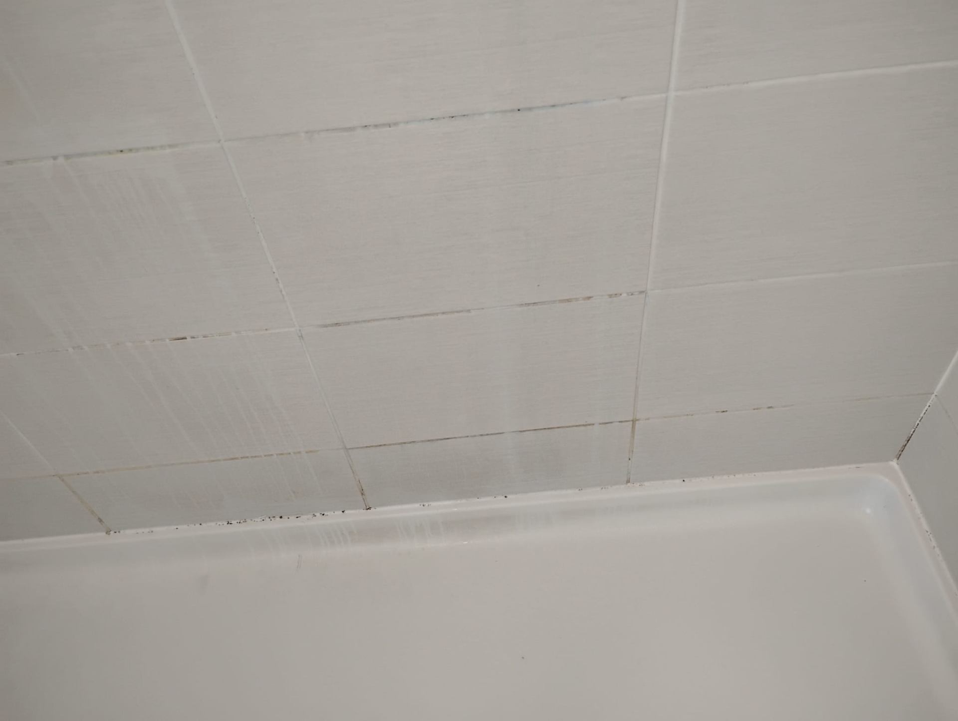 Bathroom Tile & Grout