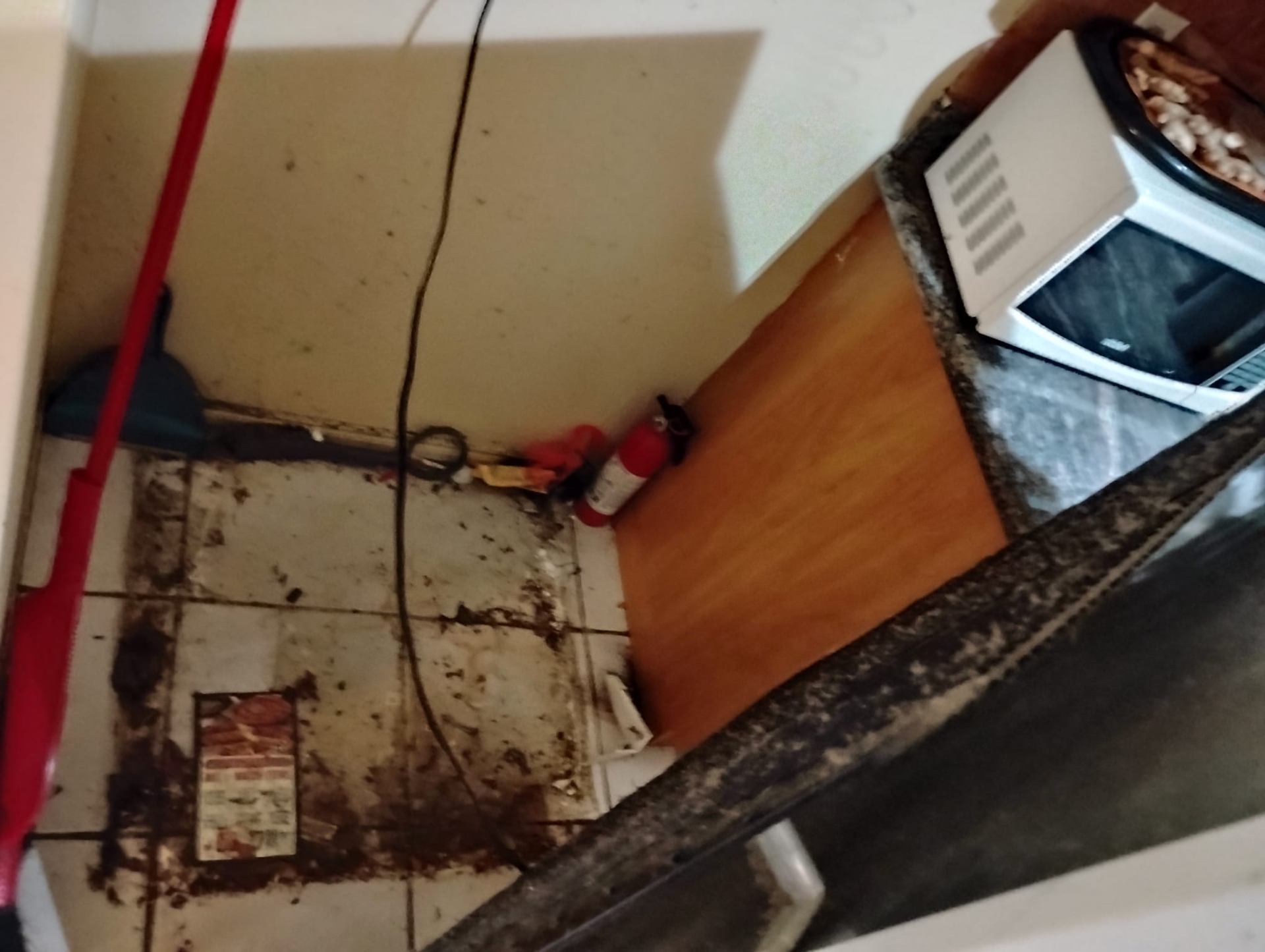 Kitchen Floor — Restored