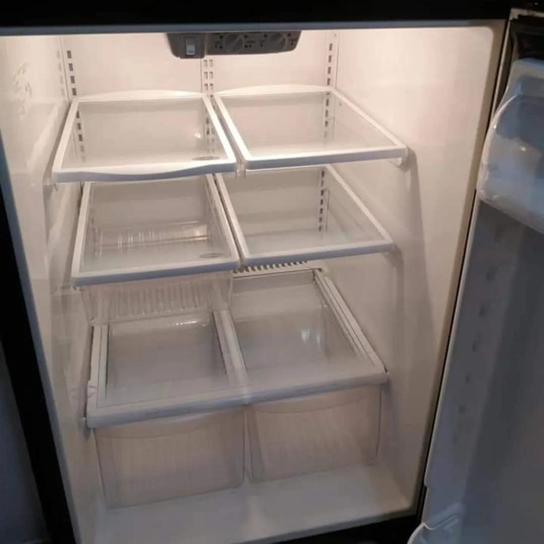 Refrigerator Shelves — Sanitized