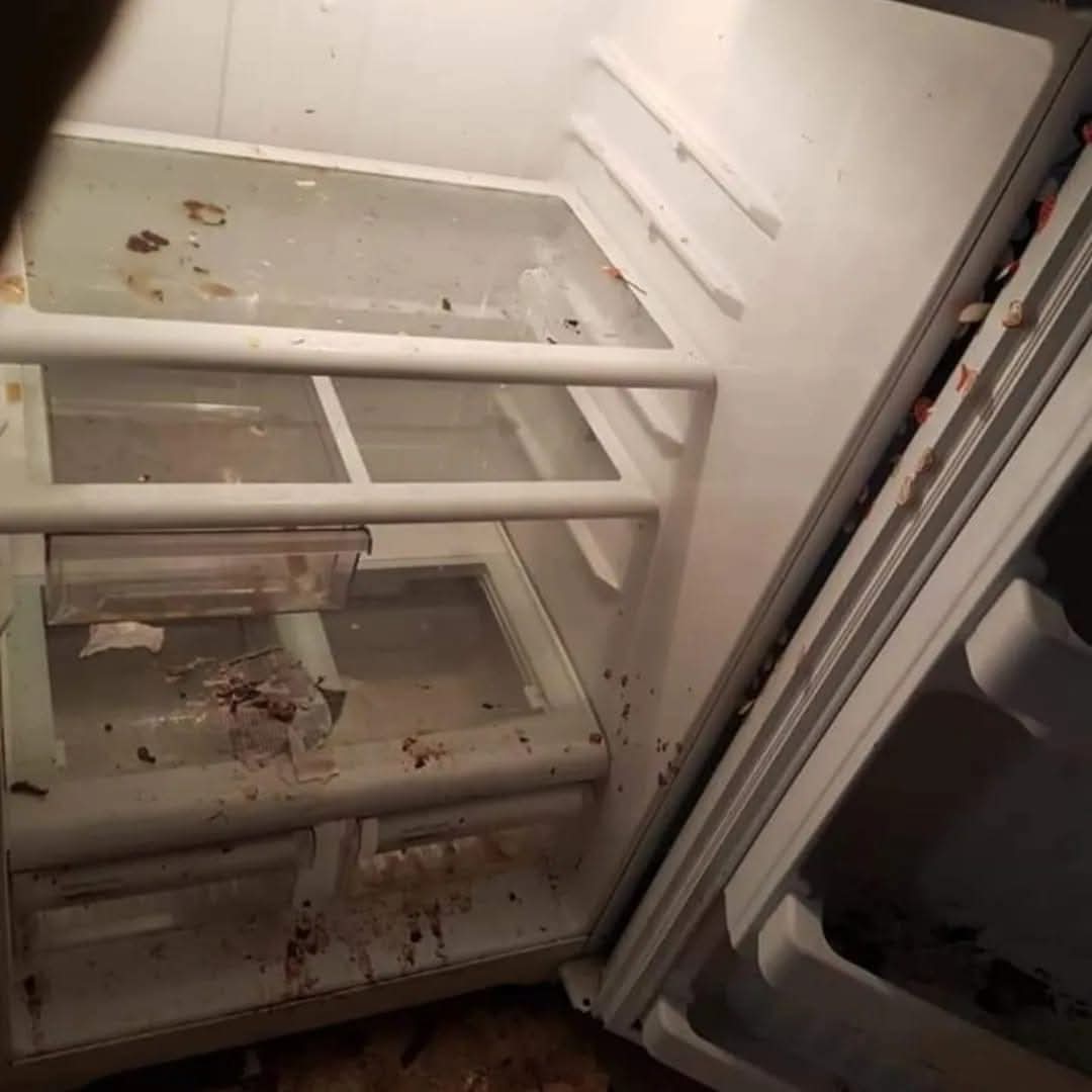 Refrigerator — Cleaned